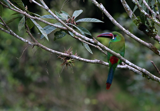 2016-Colombie