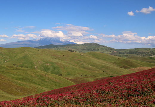 2019-Sicile