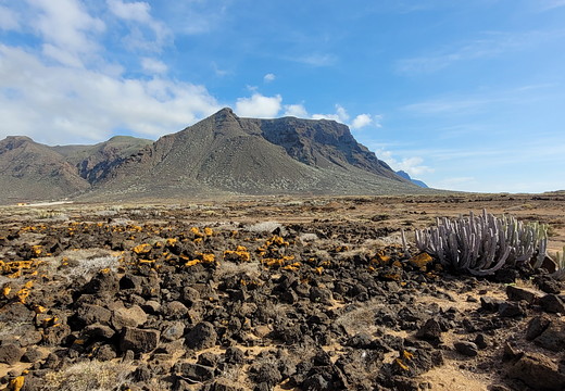 2021-Tenerife
