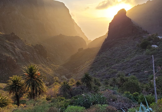 2021-Tenerife