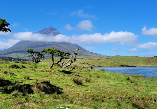 2023-Acores