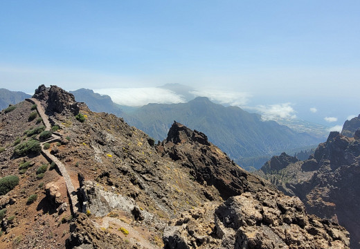 2025-LaPalma